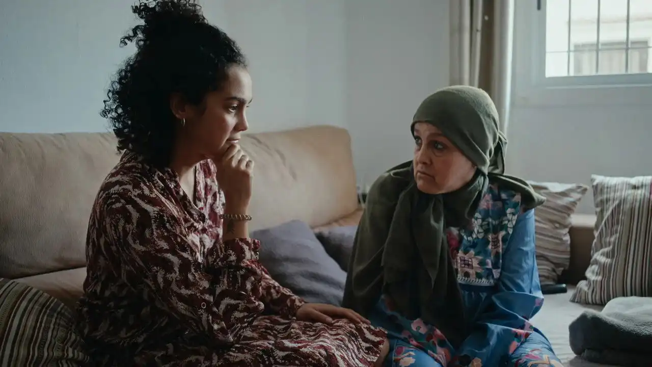 The Flight of the Stork