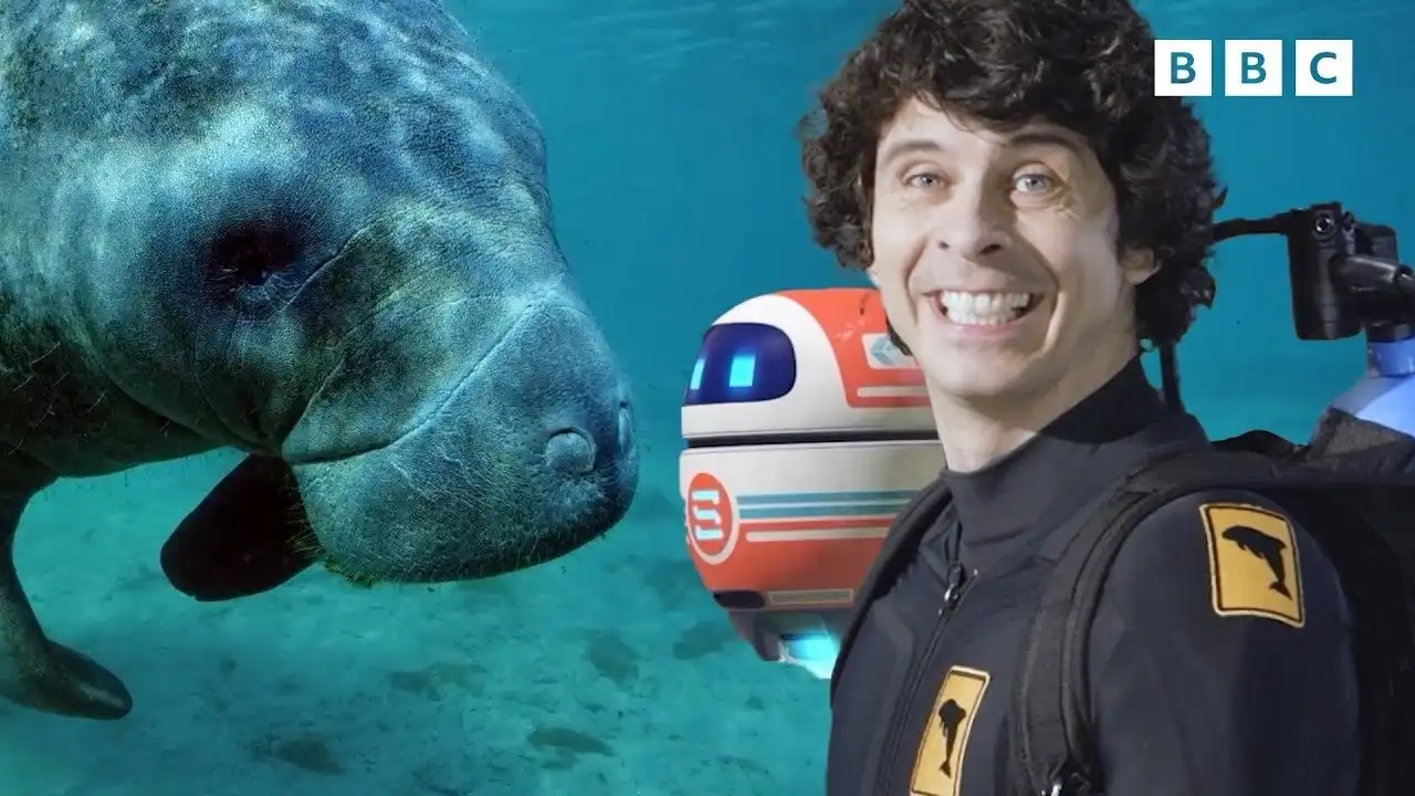 Andy's Global Adventures