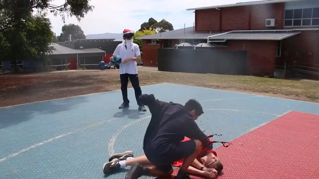 DUNCAN HOOPS & SIMON NETS & GREG BASKETS