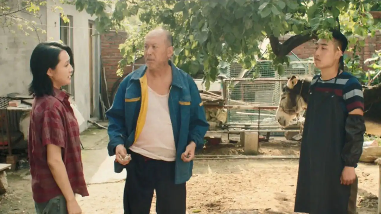 Donkey On The Tree 2: Stubborn Donkey goes on