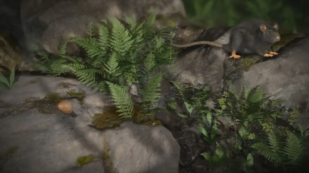 Accidental Host: The Story of Rat Lungworm Disease