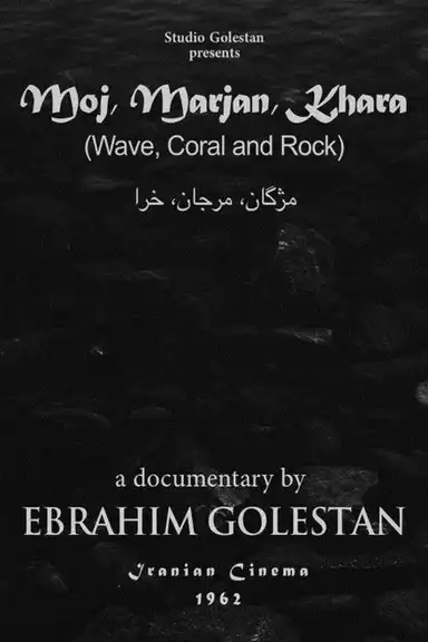 Wave, Coral and Rock