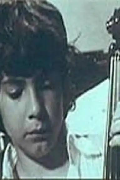 Bachianas Brasileiras: Meu Nome é Villa-Lobos