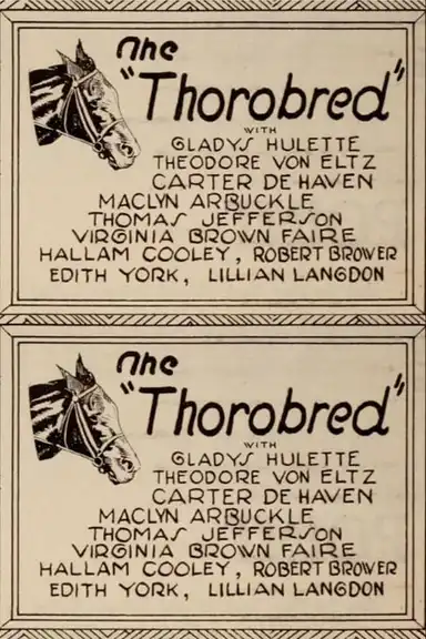 The Thoroughbred