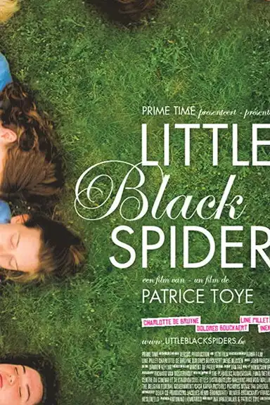 Little Black Spiders