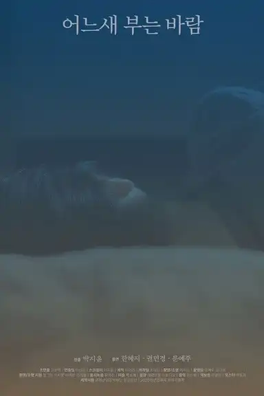 The Consolation of the Wind