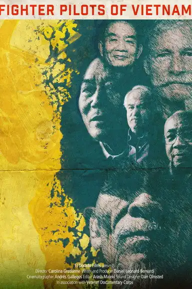 Fighter Pilots of Vietnam