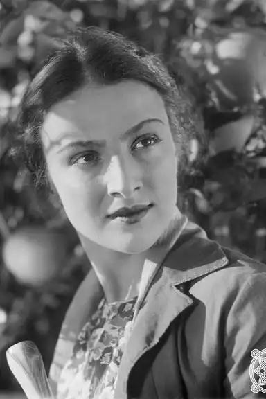 The Lights of Kolchis