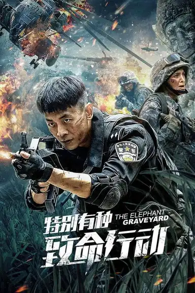 The Elephant: Graveyard