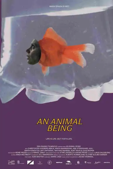 An Animal Being