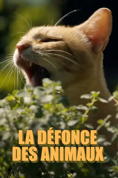 La défonce des animaux