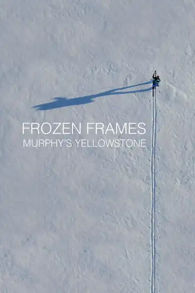 Frozen Frames: Murphy's Yellowstone