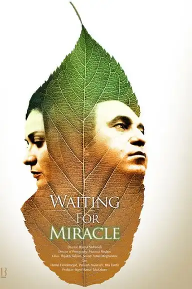 Waiting For Miracle