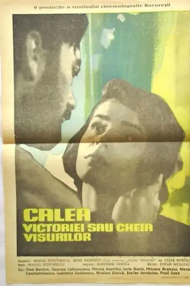 Calea Victoriei sau cheia visurilor