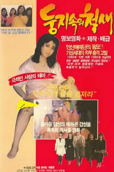 A Migrant Bird in a Nest