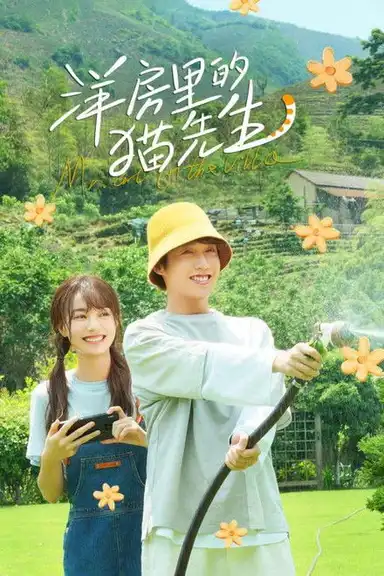 洋房里的猫先生