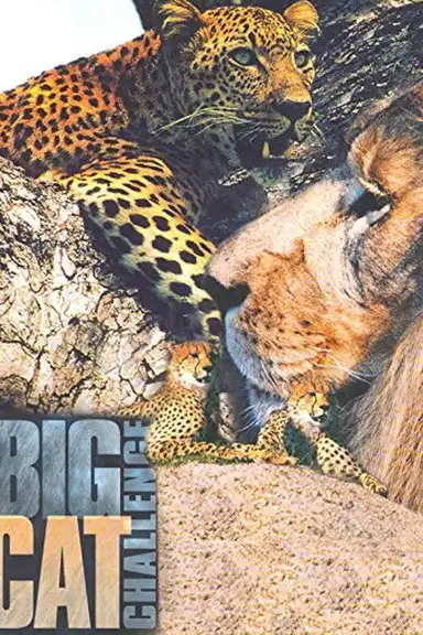 Big Cat Challenge