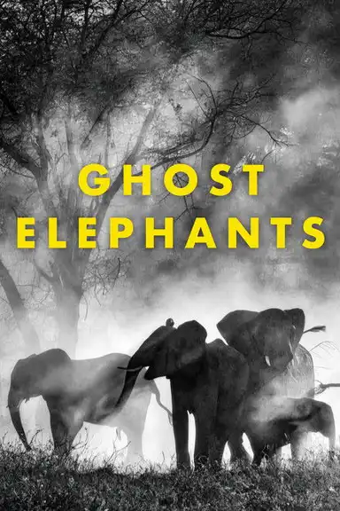 Ghost Elephants
