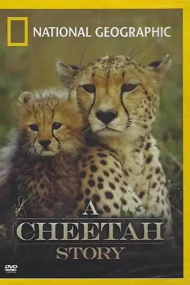 Cheetah Story
