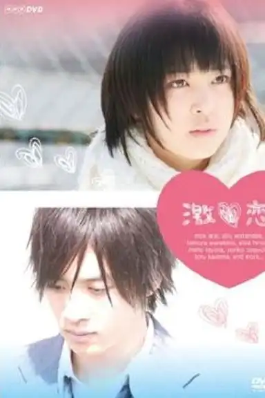 激恋 運命のラブストーリー