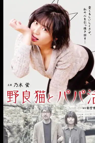 Stray Cats and Sugar Daddies