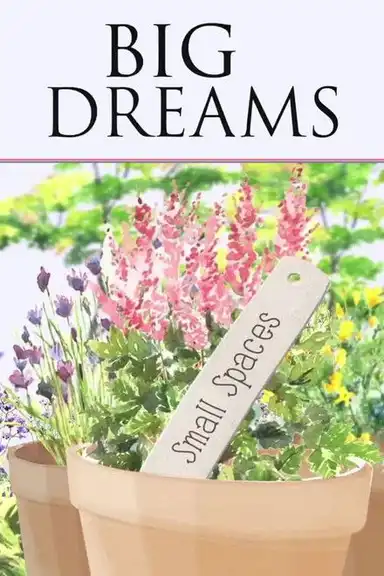 Big Dreams Small Spaces