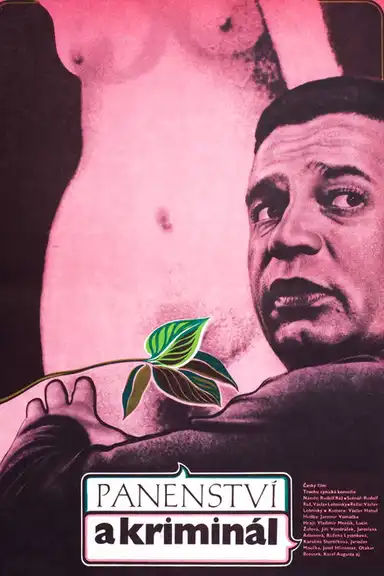 Panenství a kriminál