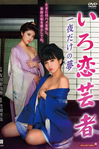 Hot Spring Geisha Pillow Performance in a Touring Tour Room