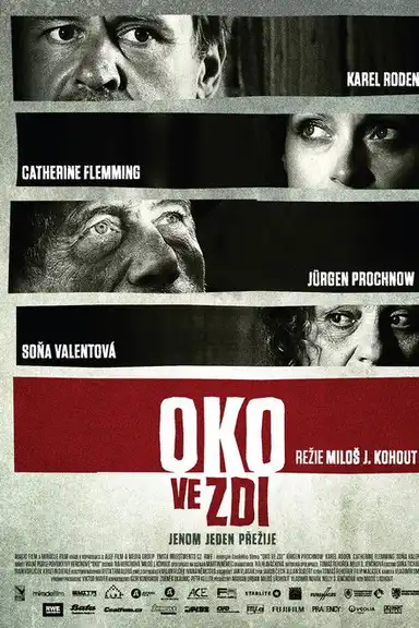 Oko ve zdi