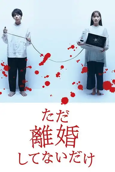 We Are Just Not Divorced