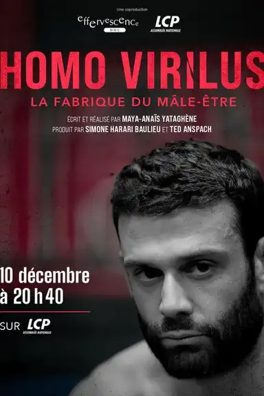 Homo virilus : la fabrique du mâle-être