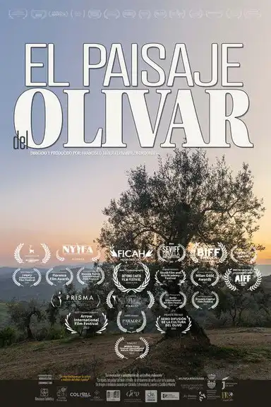 El paisaje del olivar