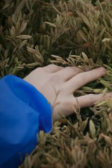 Without Bounds to Beat