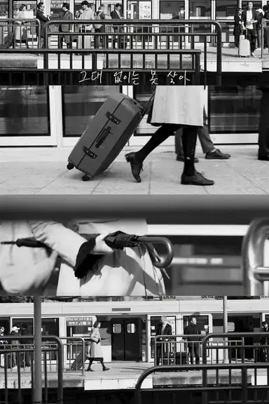 Can’t Live Without You