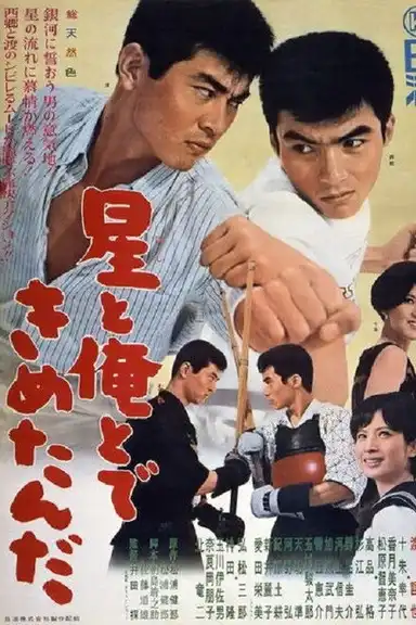 The Stars and I Decided...