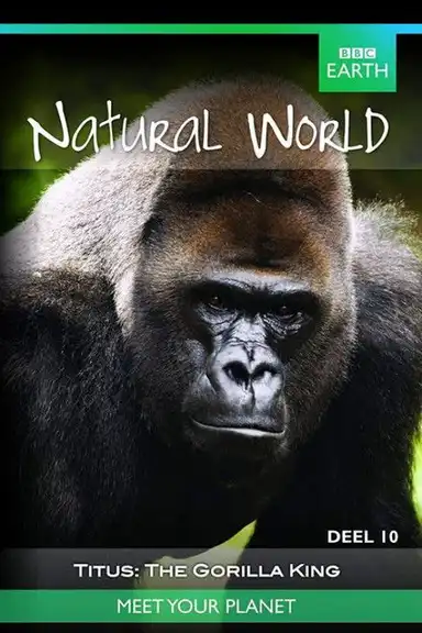 Titus: The Gorilla King