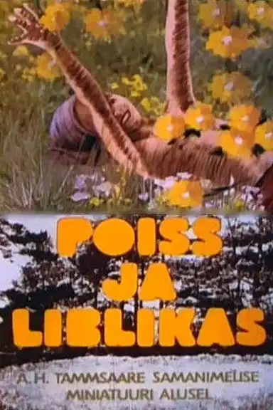 The Boy and the Butterfly