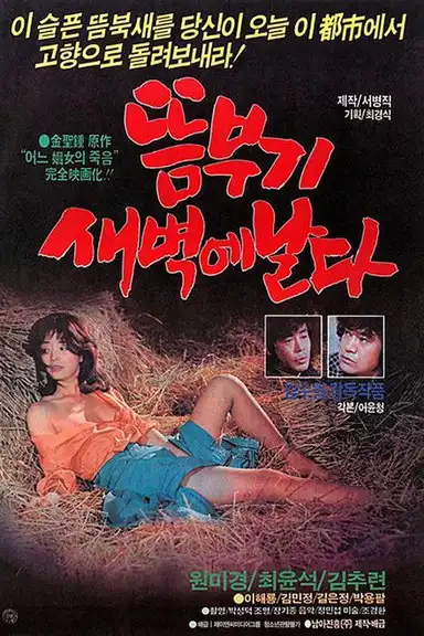 A Bird Flying At Dawn