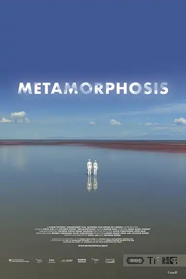 Metamorphosis