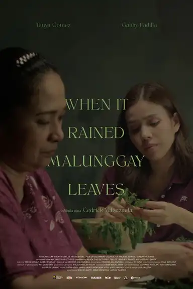When It Rained Malunggay Leaves