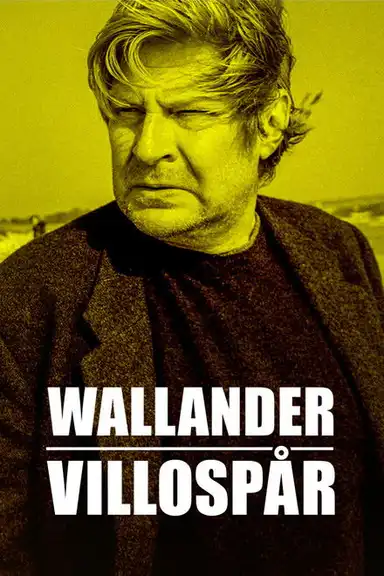 Wallander: Sidetracked
