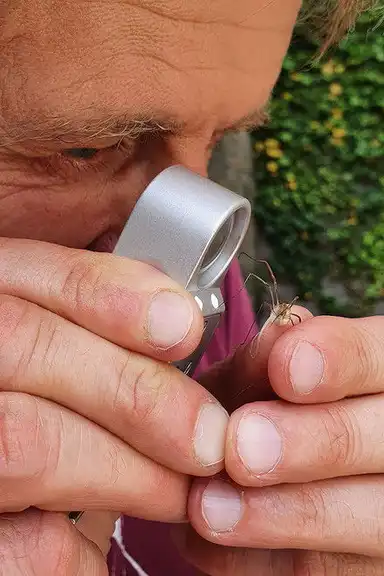 Geheimnisvolle Parktiere - Wildes Leben in der Stadt