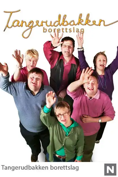 Tangerudbakken borettslag