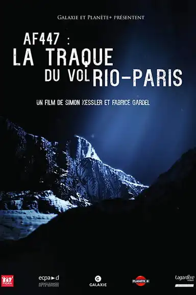 In Search of Flight AF447