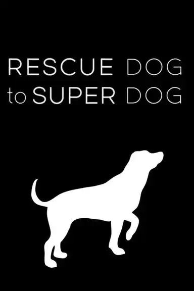 Rescue Dog to Super Dog