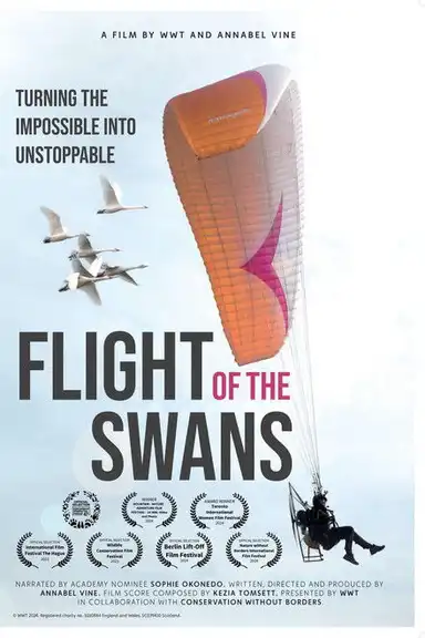 Flight of the Swans