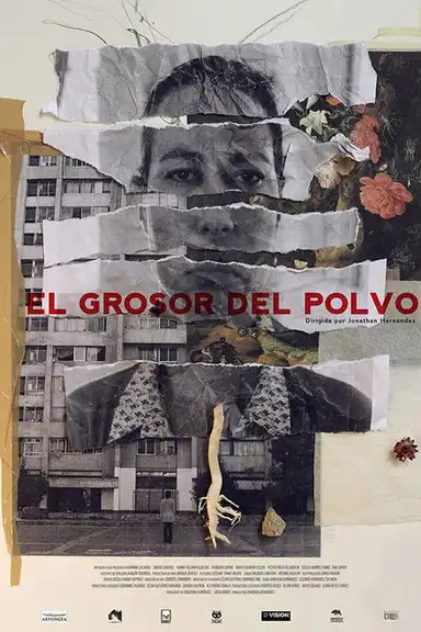 El Grosor del Polvo