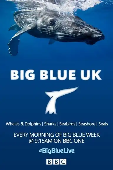Big Blue UK