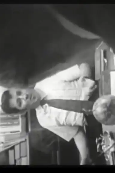 Who Shot Alexander Hamilton