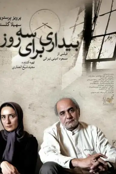 Awakening for Three Days